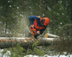 ��������� husqvarna