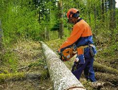 ��������� husqvarna