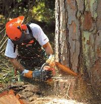 ��������� husqvarna 
